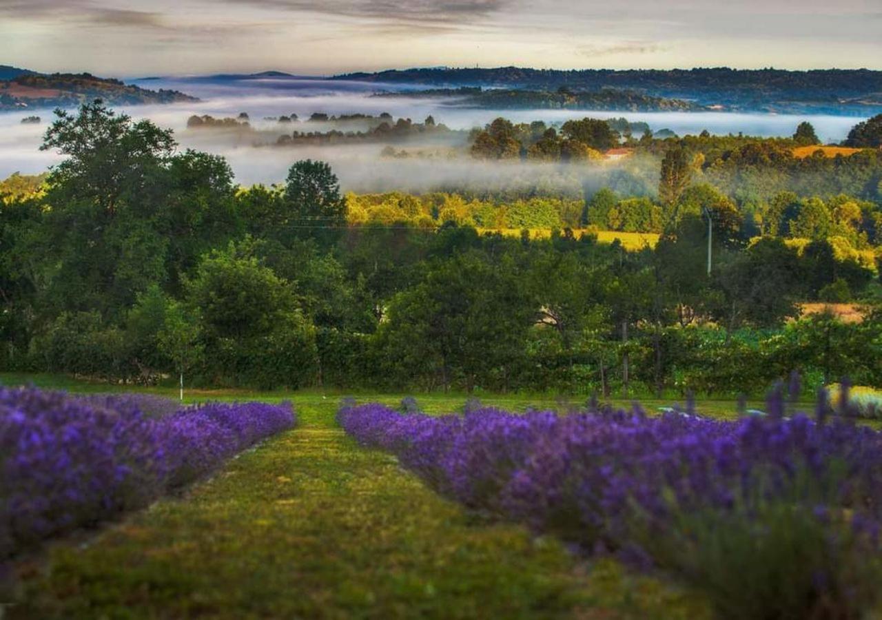 Lavanda Carasova Crasova Exterior foto
